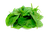 Spinach